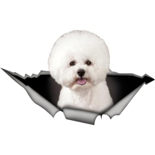 Beautiful Car Sticker 3D Pet Bichon Frise Animal Decal Car Window Accessories Car Styling PVC