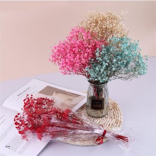 Natural Fresh Dried Preserved Flowers Gypsophila Paniculata Baby Breath Flower Bouquets Gift For Wedding Party Home Dekoration
