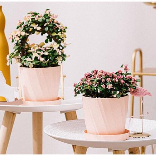 Mini Cactus Succulent Fake Potted Desk Decor Plants Artificial Succulents Home With Tray Decoration Accessories