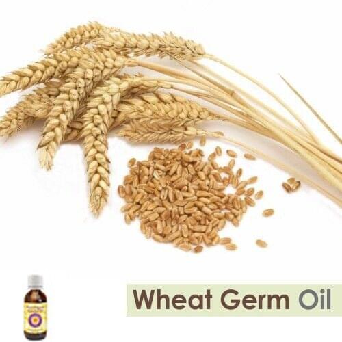 Wheat Germ 100% Natural Pure Undiluted Uncut Essential Oil 5ml