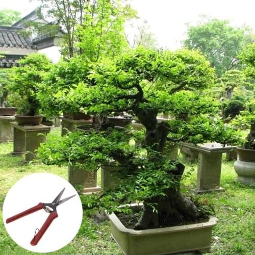 Carbon Steel Head Gardening Scissors Cutting Branch Shears Bypass Pruner G07 Great Value April 4