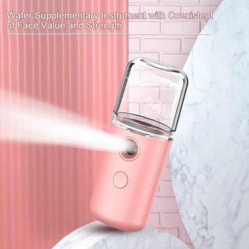Hot Sell Mini Handheld Face Humidifier 30ml Usb Capacity Facial Charging Vapor Spray Portable Mist Diffuser Water for Summer