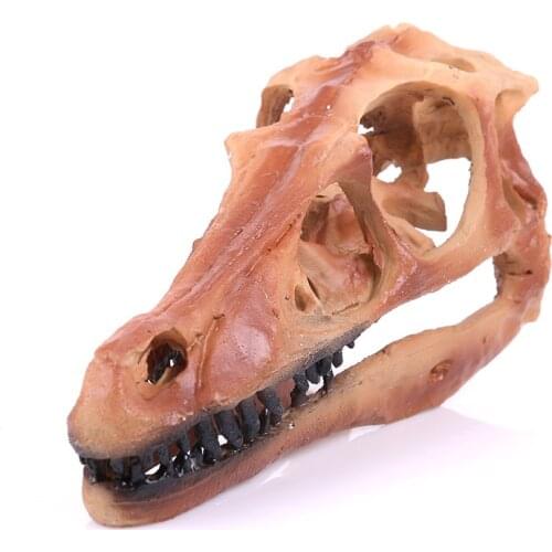 New Monolophosaurus Fossil Resin Velociraptor Dinosaur Skull Model Halloween Decoration Gifts