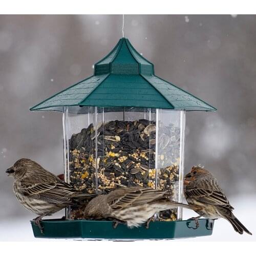 Жердочки для попугаев SweetDog China At AliExpress