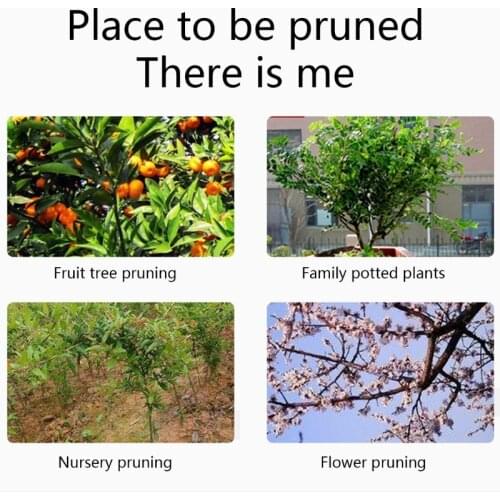 K1KA Easy to Operate Pointed Gardening Pruning Shears Thin Fruit Pruning Shears Reduce Plant Damage Sharp Garden Shears