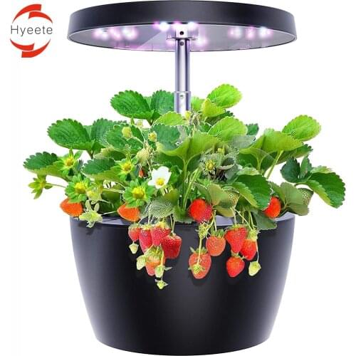 Hydroponics Growing System Smart Garden with 3 Growth Modes Indoor Herb Garden Starter Kit Easy to Use Ideal Gift for Family