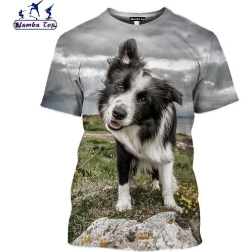 Border Collie Dog T Shirt 3D Clever Animal Tshirt O Neck Mens T-shirts Cute Funny Men Tees Top Short Sleeve Women Pullover E018