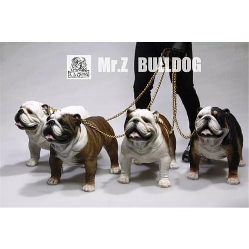 Mr.Z 1:6 Scale British Bulldog Bull Dog Pet Healing Figure Animal Model Toy Collector Desktop Decoration Adult Gift