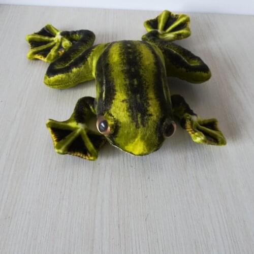About 25cm real life toy green frog plush toy,soft doll baby toy birthday gift h2199
