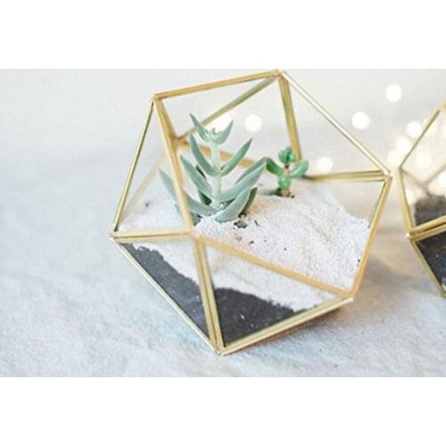 Glass Terrarium Storage Box Jewelry Holder,Glass Geometric Terrarium Tabletop Succulent Plant Box Planter Holder Case(Black