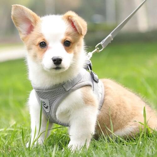 Kitten Reflective Striped Jacket Leash Breathable Cat Harness and Leash Set Puppy Dogs Cat Harness Vest Easy Control Bulldog