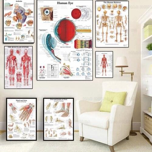 Human Anatomy Muscle System Art Canvas Painting, Body Art Picture and Poster Decoration Family Medicine Education Frame Artwork