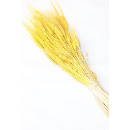 Artificial flower Home Dry Ears Bundle Multi Yellow decoration artificial flower искусственный цветок