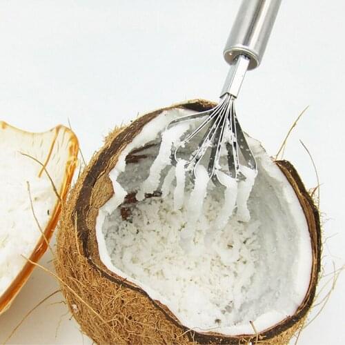 1pcs Stainless Steel Kitchen Fruit Tools Coconut Shaver Kitchen Fish Clean Scales Tools Kitchen Accessories Coconut Planer