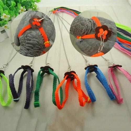 Fashion Parrot Bird Harness & Leash Adjustable Multicolor Light Soft Cloth