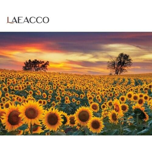 Laeacco Natural Backgrounds For Photography Sunset Blossom Flowers Field Rural Farm Scenic Photographic Backdrop Photo Studio