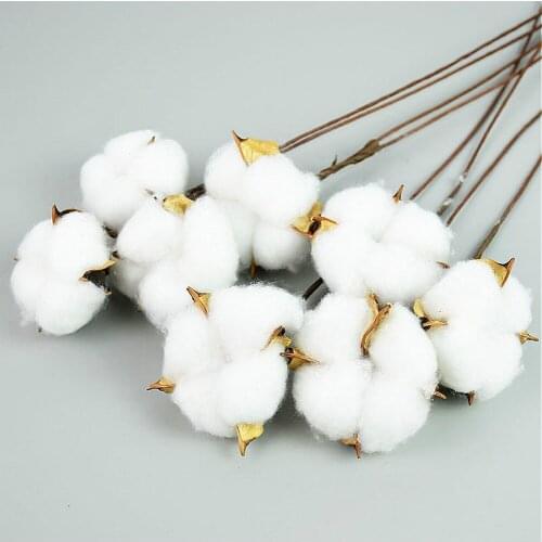 10pcs Naturally Dried Cotton Flowers White Home Decorative Artificial Floral Branch Wedding Bridesmaid Bouquet Decor