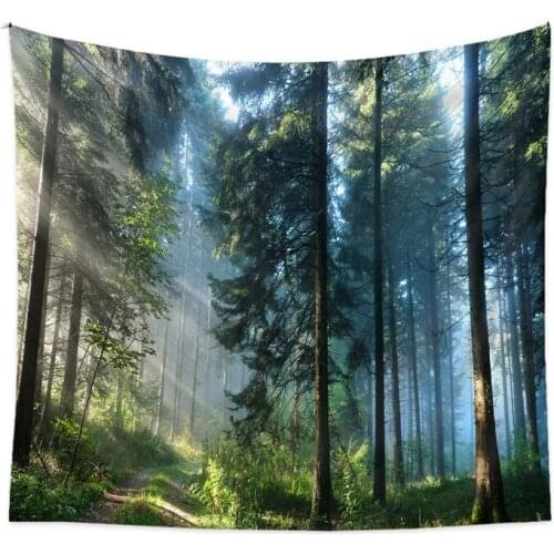 Digital Print Tapestry Wall Hanging Soft Throw Bedspread Queen Bed Dorm Decor (150X200cm)