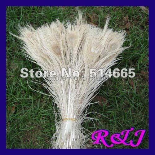 Wholesale 100 pcs/lot 40-45cm 14-16" dyed PEACOCK FEATHER peacock tail feather Free Shipping
