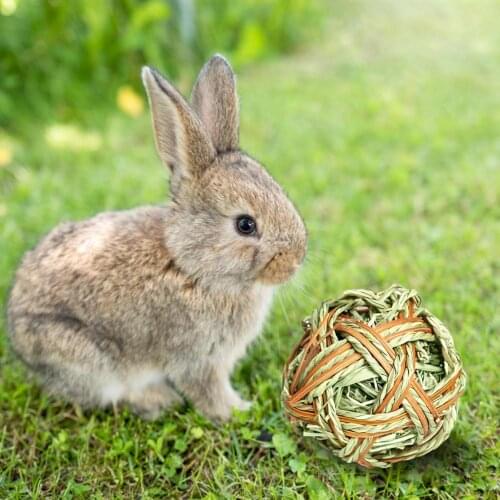 1pc Rabbit Chew Ball Non-toxic Timothy Grass Chew Ball Small Animal Activity Play Chew Toys For Bunny Hamster Guinea Pigs