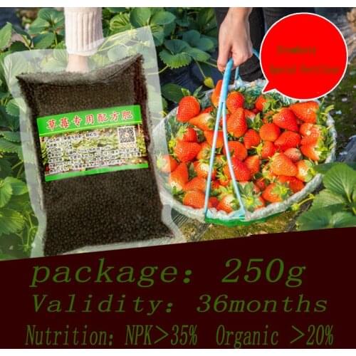 Strawberry fertilizer