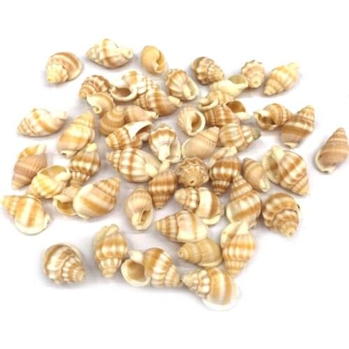 Natural shell fashion Conch Pendants Exquisite Charms for Jewelry Making DIY Bracelet Necklaces earring Accessories Size 12x18mm