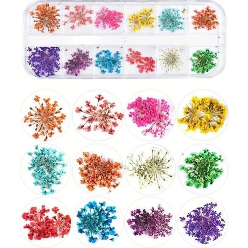 1 Box Real Dried Daisy Flowers Dry Plants For Epoxy Resin Pendant Necklace Jewelry Making Craft DIY Nail Art Decorative Flowers