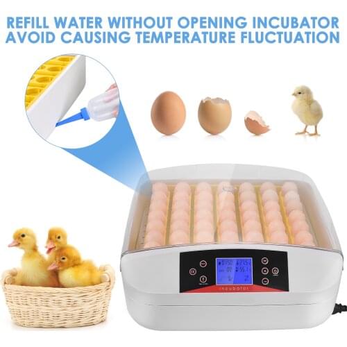 New 56 Eggs Incubator Automatic Hatcher Poultry Egg Incubator Digital Control Hatchery Farm Incubation Tools Brooder Equipment