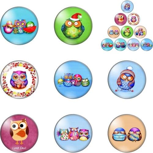 New Colourful Animal Owl Round Photo Glass Cabochon Demo Flat Back Making Findings Handmade DIY Accessories