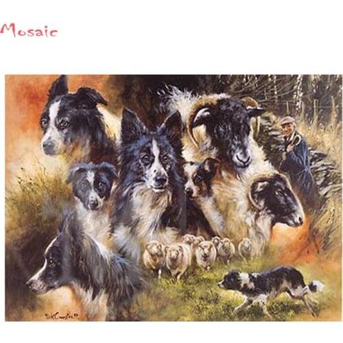DIY 5D Diamond Embroidery pet dog Diamond Mosaic"Border collie"full square Mosaic Diamond Painting Cross Stitch Decor