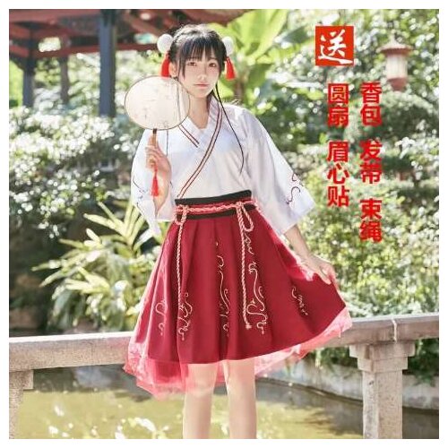 2020 New Traditional Chinses Fashion Style Ancient Costume for Women Red Long Sleeve Embroidery Hanfu Princess Dance Dress