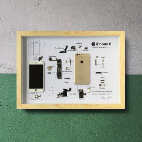 6th generation Mobile phone disassembly and mounting Three-dimensional specimen Favorites reveal