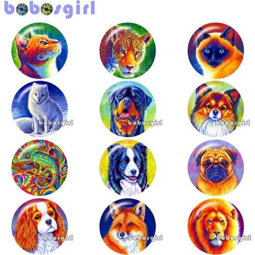 Animal dog fox color cat Round photo glass cabochon demo flat back Making findings 12mm/18mm/20mm/25mm B5026