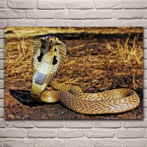 New crystal 5D Diamond Painting Animal snake DIY Diamond Embroidery landscape Cross Stitch Rhineston Mosaic Home Decor gift P601