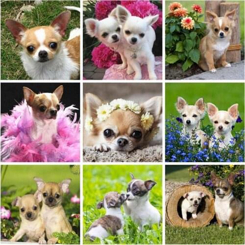 AZQSD Diamond Painting Dog Cross Stitch Picture Of Rhinestones Diamond Embroidery Animal Home Decor Gift Handmade Needlework