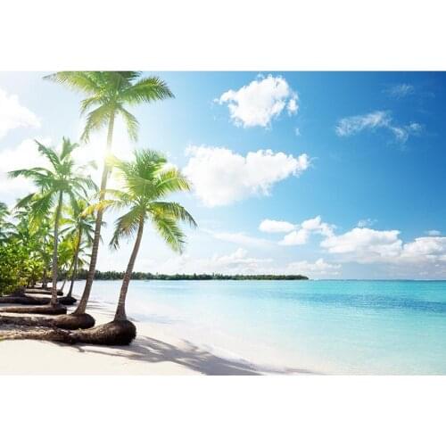 Hawaiian Style Photography Background Blue Sky Clear Water Palm Tree On The Beach Backdrop For Professional Photo Booth Props