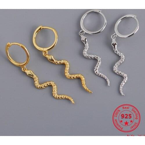 S925 Sterling Silver Hyperbole Pendant Snake Hoop Earrings Women Punk Fashion Long Serpentine Snake Tassel Women Animal Earrings