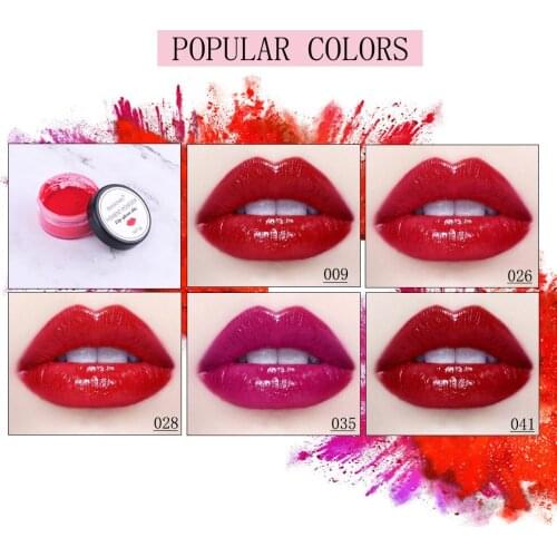 12 Colors Lipstick Pigment Powder Lip Cosmetic Makeup DIY Color Lipgloss Powder Pigment Make Up Tools Full Makeup Comestics