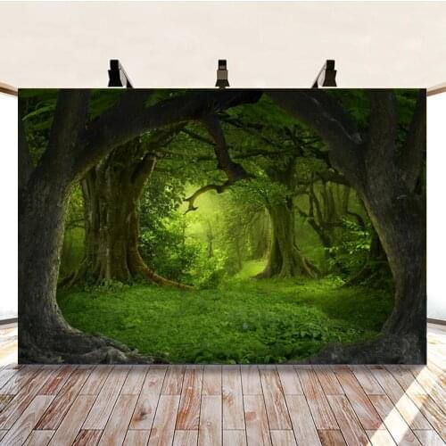 Morning Forest Giant Trees Green Background Picture Travel Hobbyist Studio Photography Photos Can Be Customized
