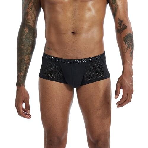 PINKY SENSON MENs brief mens low-waisted flat-angle pants breathable nylon mesh mens underwear solid color