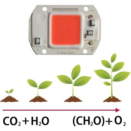 LOKTA Professional Lighting