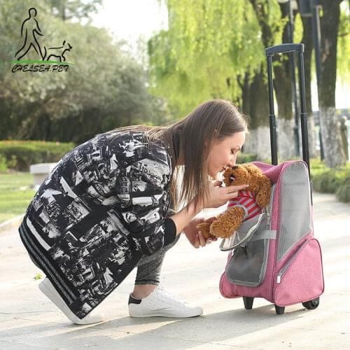 Travel tale Foldable pet Rolling Luggage Spinner Cat/dog Suitcase Wheels 20 inch Carry on Trolley pets Shoulder Travel Bag
