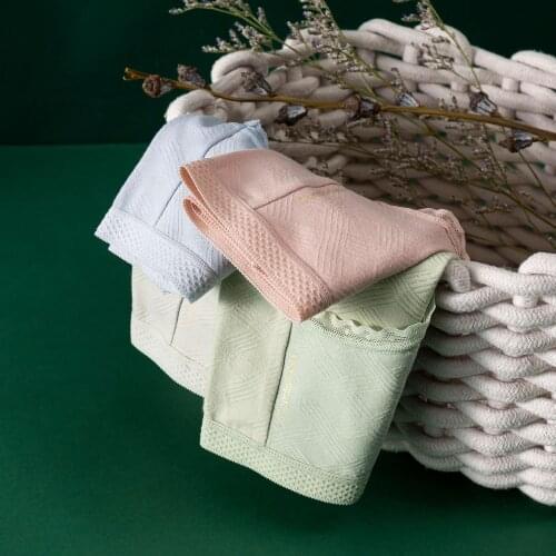 Womens Underwear Candy Color Cute Cotton Briefs With Low-waist Sheer Lace Detail At Sides Lingerie