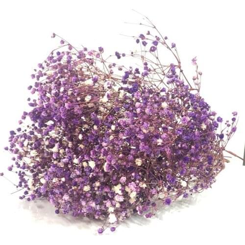 Popular Products Wholesale Dried Flower Wedding Gypsophila Preserved Babys Breath for Day Gift Living Room Desk Decoration