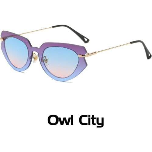 Owl City Women's Sunglasses Round