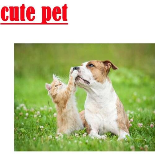 DIY Cat and dogs Animal home improvement cross-stitch Mosaic diamond Painting embroidery all drill square drill photo wallpaper