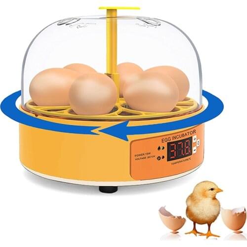 6 Eggs Digital Mini Incubators Poultry Hatching Brooder Machine Automatic Turning Temperature Control for Chicken Duck Quail