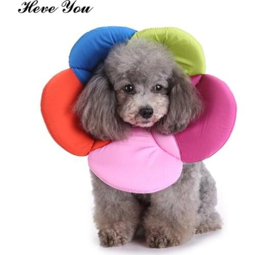 Heve You Pet Collar Perro for Dog Inflatable Collar for Soft Recovery Dogs Collar Dog Neck Wound Healing PreventPuppy Lick Wound