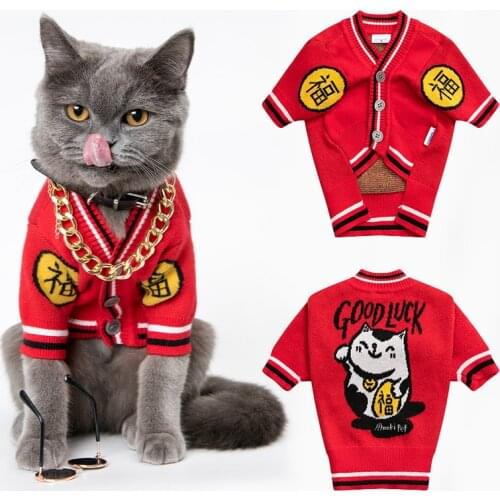 Clothes For Cats Winter Dog Sweater Sphinxes Sphynx Bunnies Jersey Chihuahua Kittens Medium For Cat 2020 Habits Pour Chat Warm