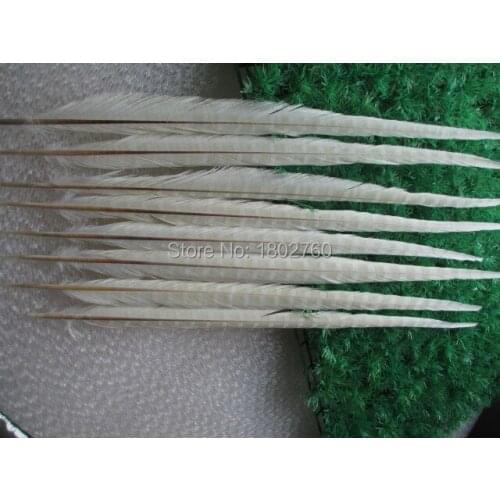 Wholesale 50 pcs beautiful white pheasant tail feathers of 50-55 cm 20-22 inches free shipping